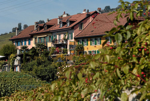 Террасовые виноградники Лаво на берегу Женевского озера являются частью Всемирного наследия ЮНЕСКО