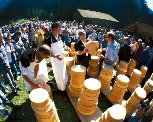 Церемония деления сыра в долине Джастис, Бернес Оберланд. Каждую осень владельцы крупного рогатого скота забирают своих животных и уносят с собой долю произведенного ими сыра.