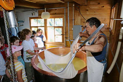 Процесс приготовления сыра в частной сыроварне Йкоба Кнауса, местечко Унтервассер, Тогенбург