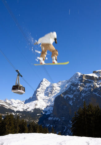 Катание на сноуборде, Мюрен-Шилтхорн (Murren-schilthorn)