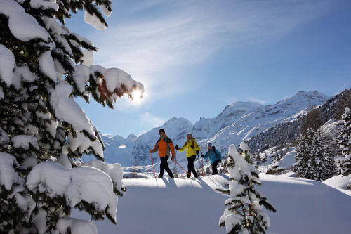 Катание на лыжах, Понтрезина (Pontresina)