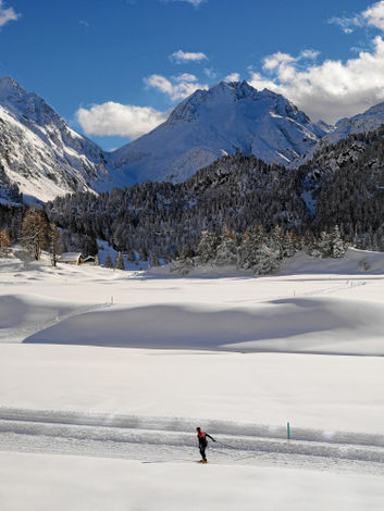 Катание на лыжах, деревня Малоя (Maloja)