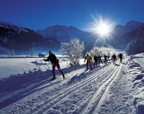 Катание на лыжах, курорт Ленк (Lenk)