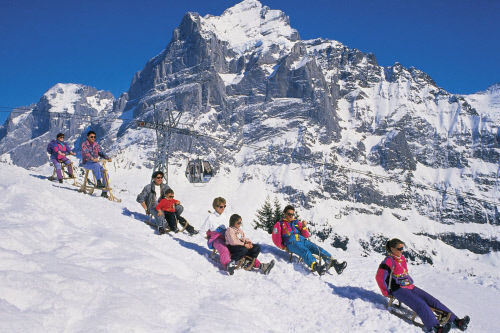 Катание на санях на горнолыжном курорте Гриндельвальд Grindelwald)