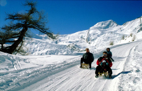 Катание на санях, Саас-Фе (Saas-fee)