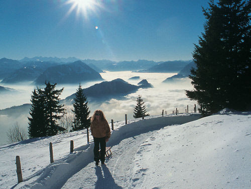 Катание на санях, гора Риги (Mt. Rigi), центральная Швейцария (Central Switzerland)