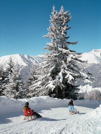 Катание на санях, горнолыжный курорт Давос Клостер (Davos/Klosters)