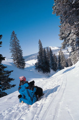 Катание на санях, Фрибург (Fribourg)