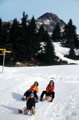 Катание на санях, Беттмеральп (Bettmeralp)