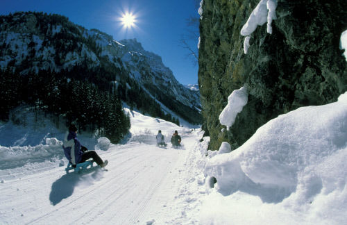 Катание на санях, Филсбах (Filzbach)