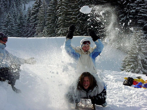 Катание на санях, Фрибург (Fribourg)