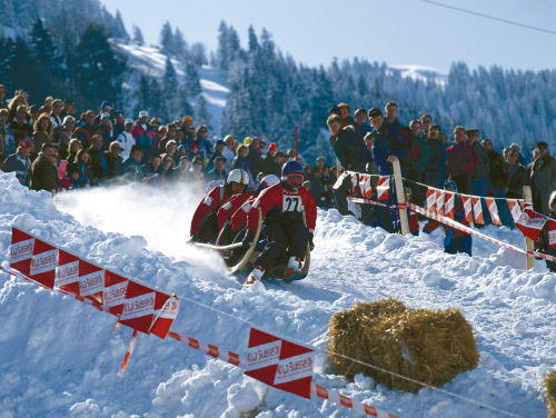 Гонки на санях, груженных сеном,  в местечке Альт-Санкт-Йохан (Alt St. Johann), кантон Санкт-Галлен (St. Gallen). Истоки соревнований уходят корнями в те времена, когда сено хранилось на горных пастбищах и фермерам приходилось на санях спускать его в долину.