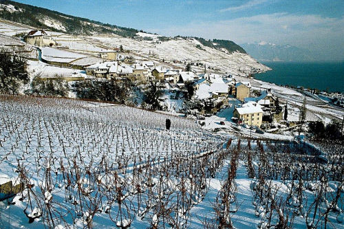 Рье (Riex), винодельческий регион Лаво (Lavaux)