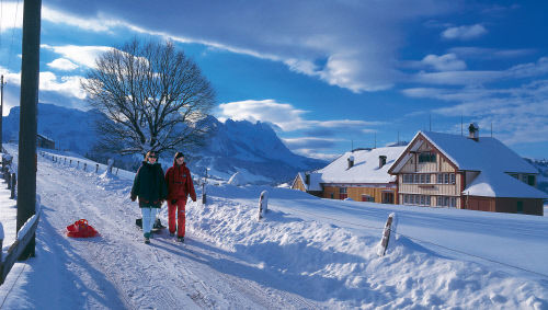 Деревня Штайнегг (Steinegg), кантон Аппенцелль — Иннерроден (Appenzell Innerrhoden)