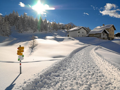 Деревня Малоя (Maloja)