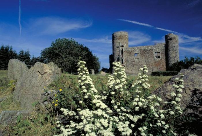 Замок Cornes d'Urfé в Форе (Forez)