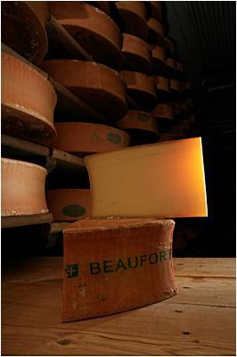 Сыры бофор (AOC) в созревании в погребе