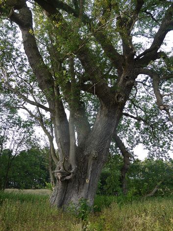 Немецкий остров Рюген