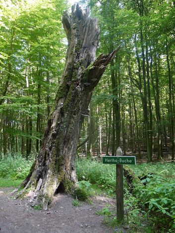 Немецкий остров Рюген