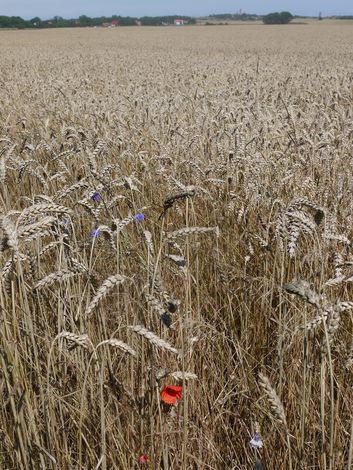 Немецкий остров Рюген