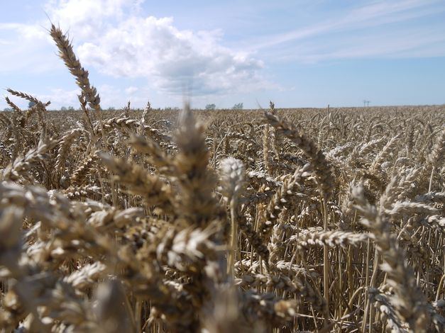 Немецкий остров Рюген