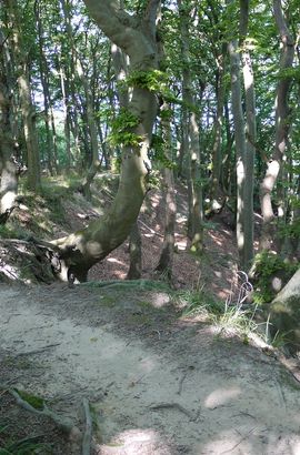 Немецкий остров Рюген Немецкий остров Рюген