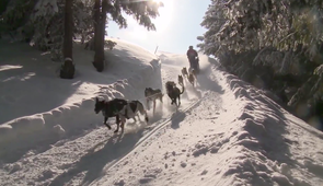 Рона-Альпы зимой