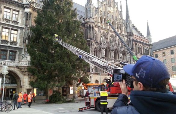 Этим утром на центральной площади Мюнхена установили Рождественскую ель