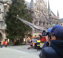 Этим утром на центральной площади Мюнхена установили Рождественскую ель