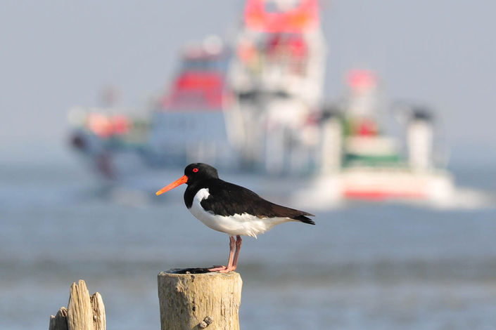 Остров Нордерней