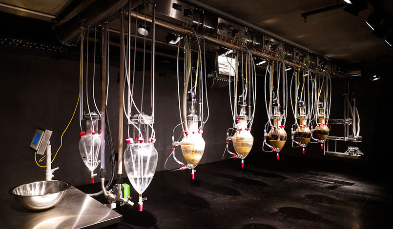 Вим Дельвуа, «Клоака» 