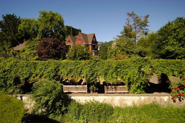 Английский сад