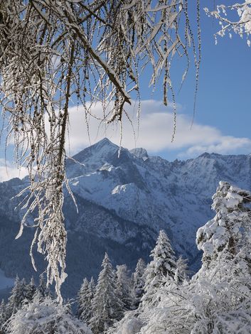 Альпшпитце