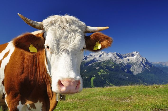 Летний Гармиш-Партенкирхен 