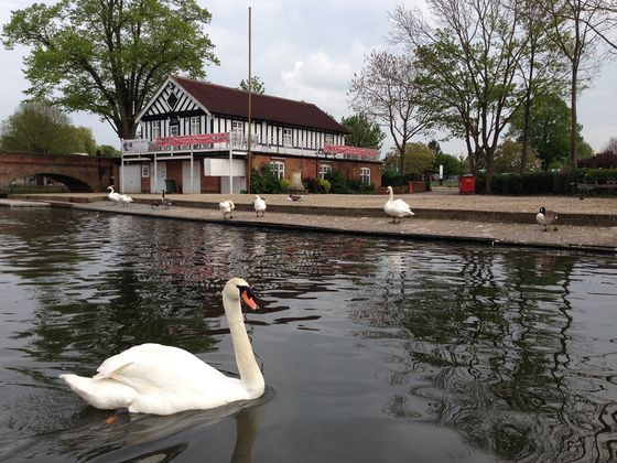 Стратфорд-на-Эйвоне