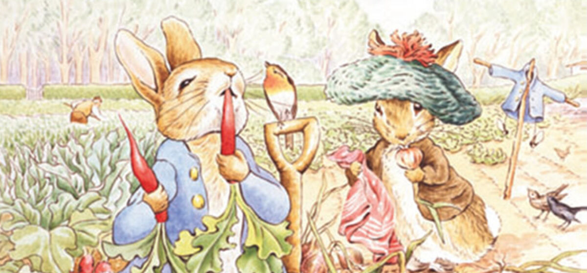 По следам кролика в Озерный край 