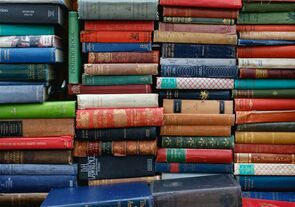 10 современных писателей Британии