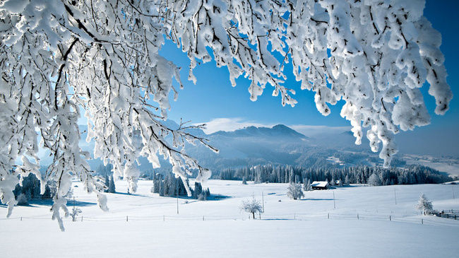 Биосферный заповедник Энтлебух (Entlebuch) зимой