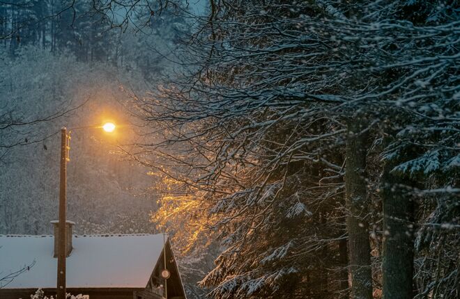 Сержант, вернемся ли мы домой?