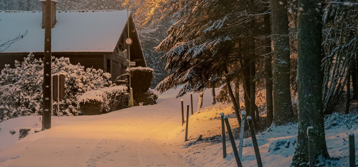 Сержант, вернемся ли мы домой?