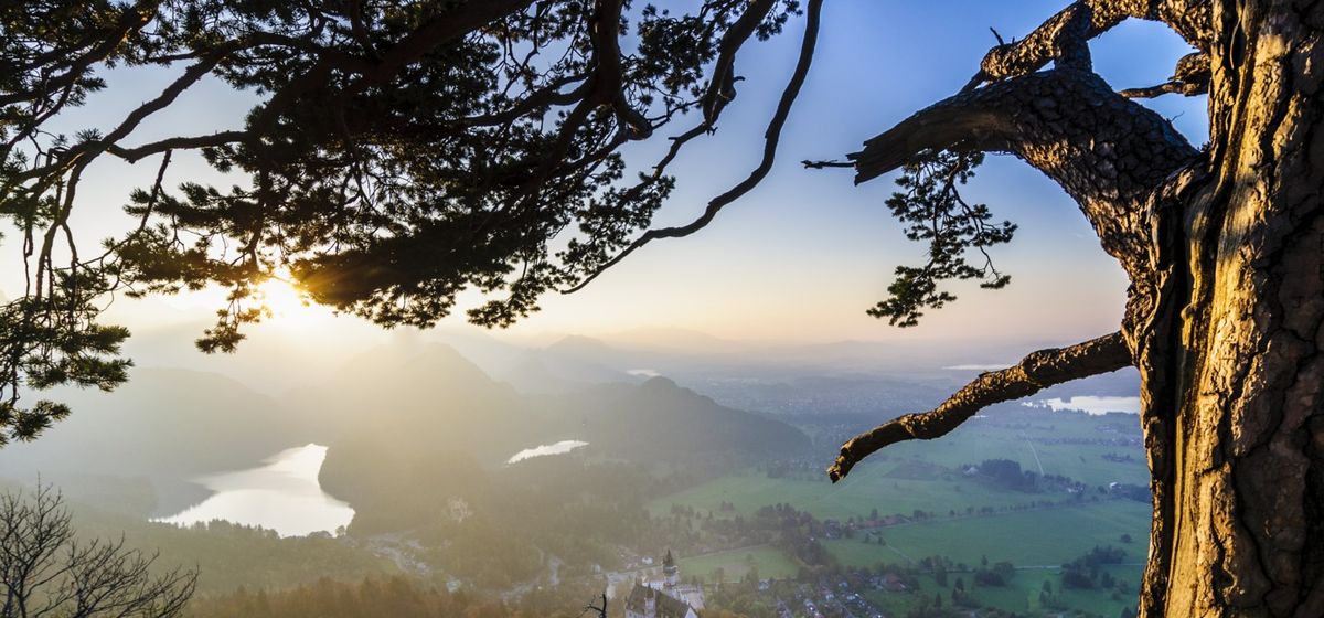 Что попробовать в Баварии