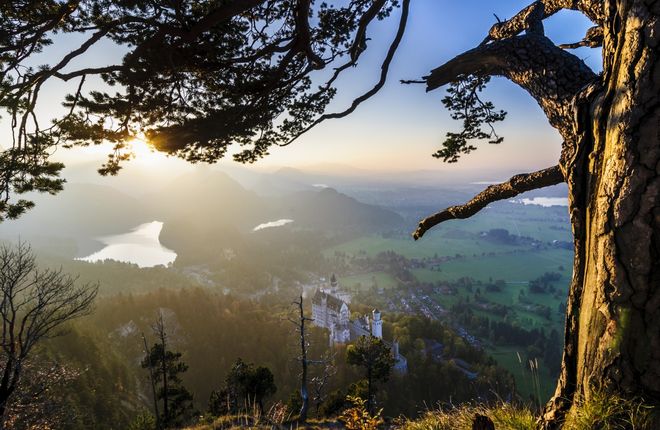 Что попробовать в Баварии Что попробовать в Баварии