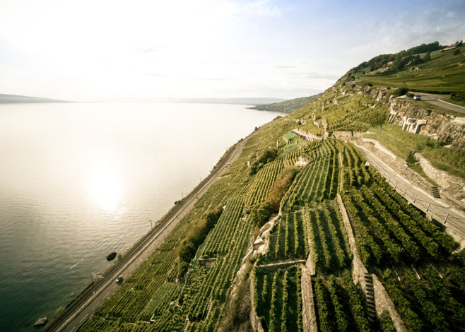 Route du Rhône n°1 - SuisseMobile Lavaux - 2017 Photographer: David Carlier