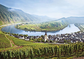 Мозельский бунтарь