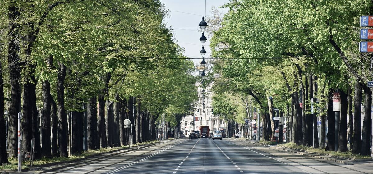 Карантин в Австрии и другие новости выходных