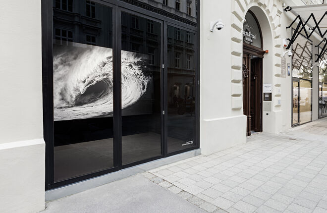 В Вене снова открылся Музей Фрейда В Вене снова открылся Музей Фрейда