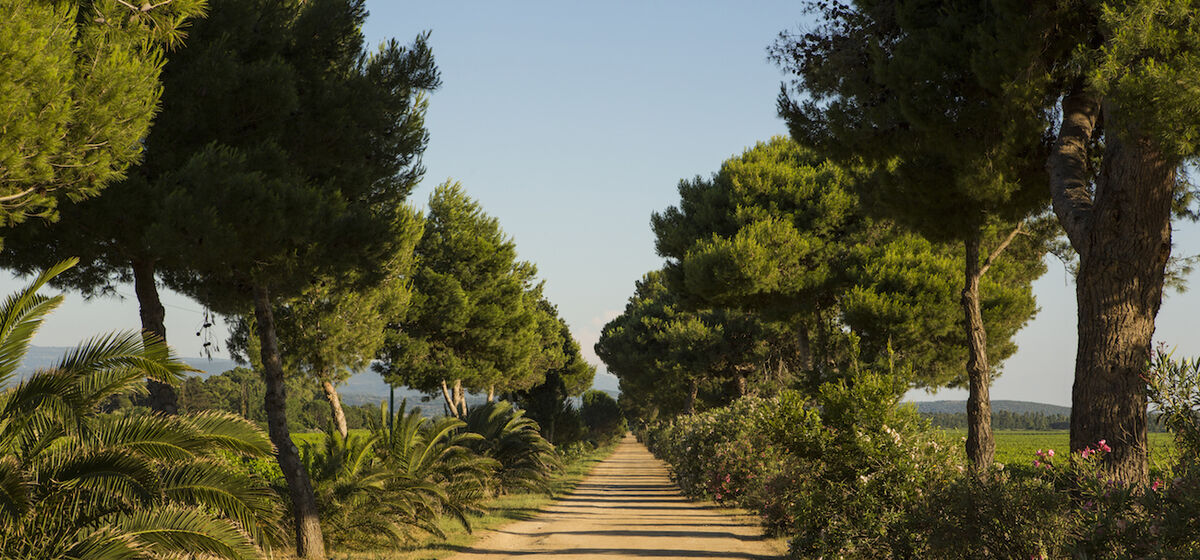 Конкурс «Попробуй Сардинию на вкус»
