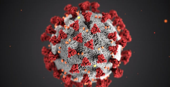 Болгарский ученый заявил, что новый «британский» штамм коронавируса выявили еще в апреле