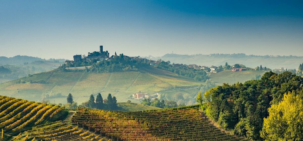 Выиграй бутылку розового просекко