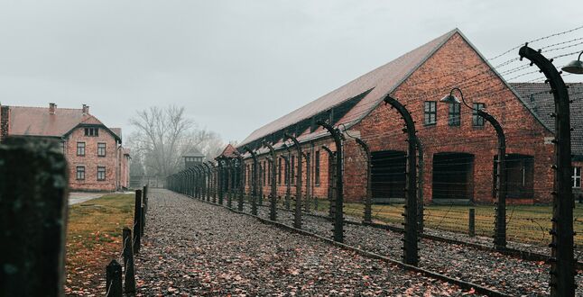Исследователям Холокоста предъявлено обвинение в клевете